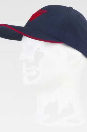 Gorra con Logo Bordado (WFA943)