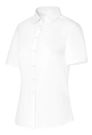 Camisa Manga Corta Cuello Camisero Regular Fit 02251